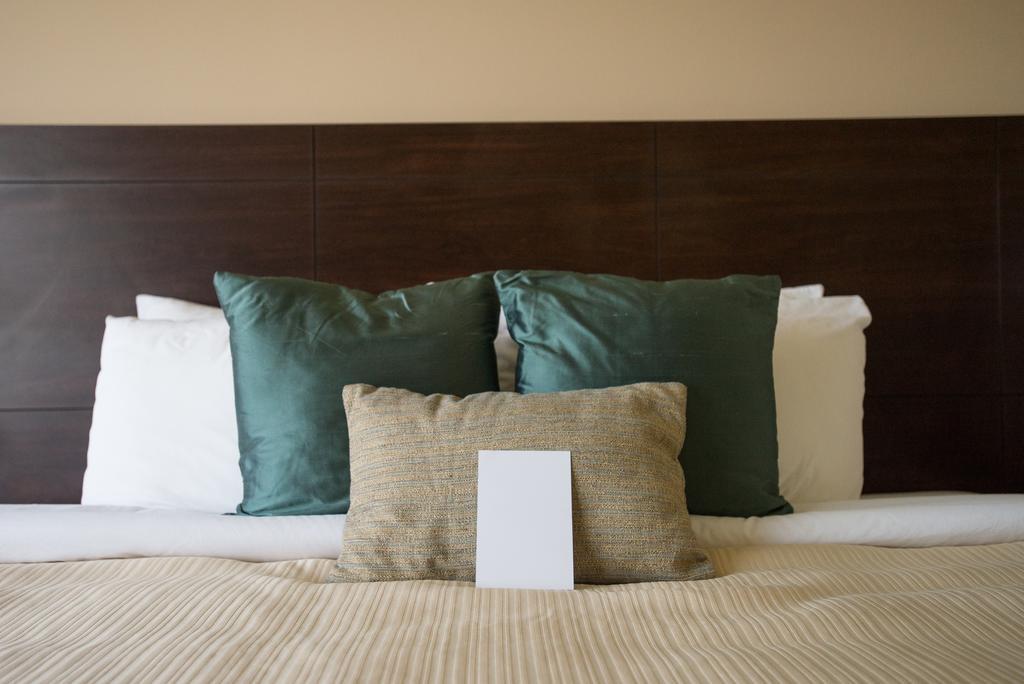 ホテル Art Of Living Retreat Center Bamboo エクステリア 写真